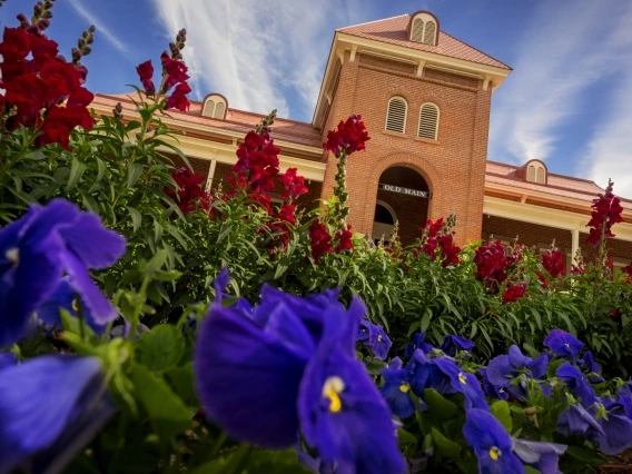 old main rising over a bed of flowers