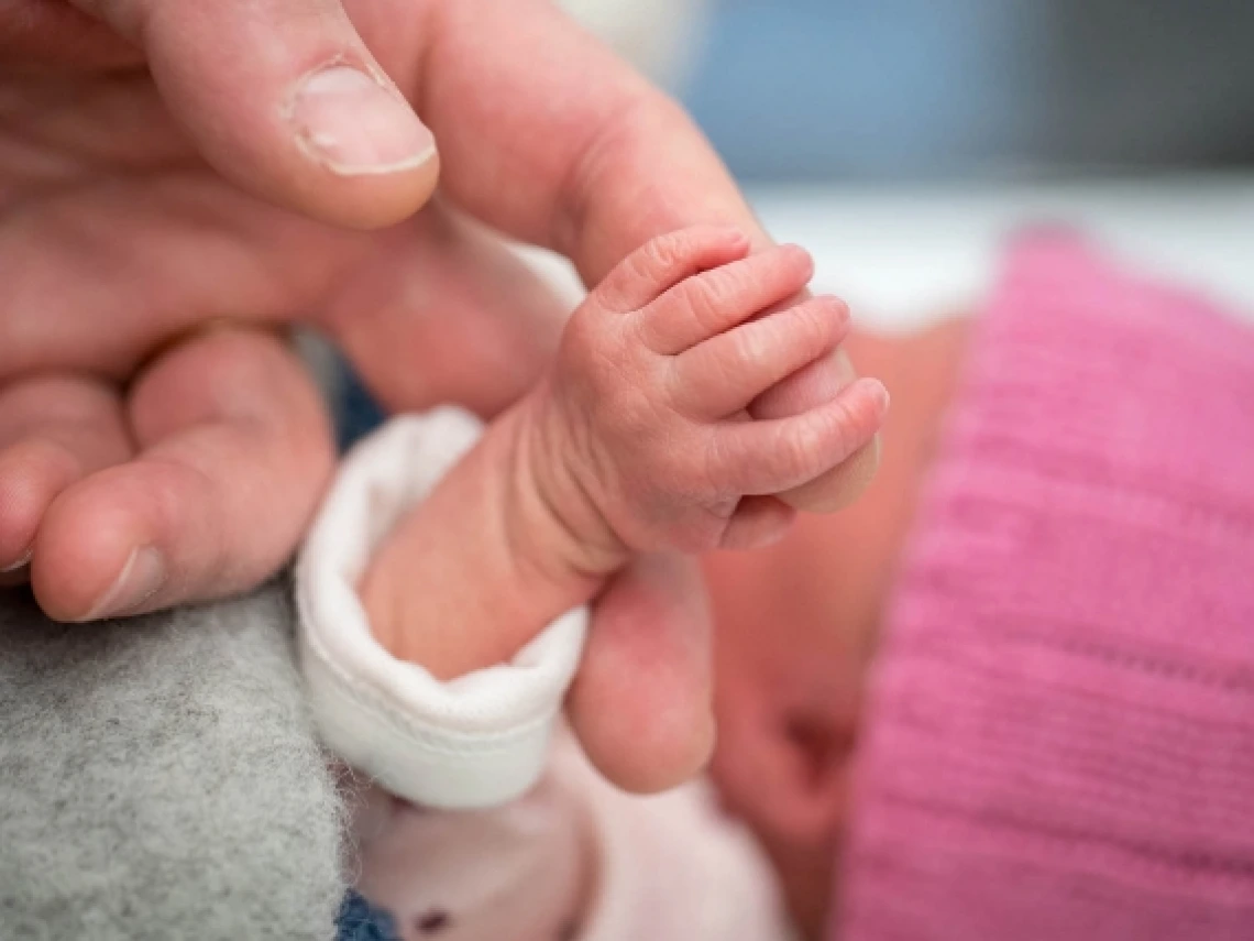 a baby&#039;s hand