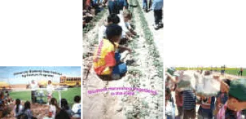 Young Kids at Vegetable Fields