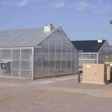 Greenhouse at MAC