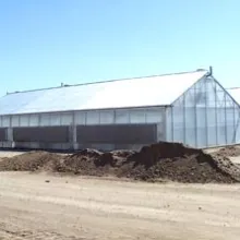 Greenhouse at MAC